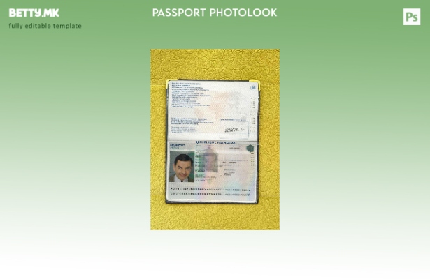 Шаблон за изглед на фотографија од пасош во Франција во модерен стил